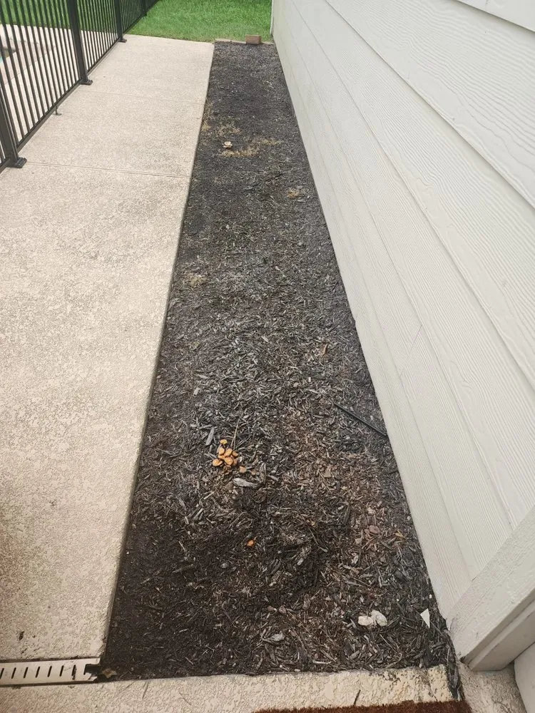 Top-rated residential landscaping experts serving Sugar Land, TX - R y A landscaping