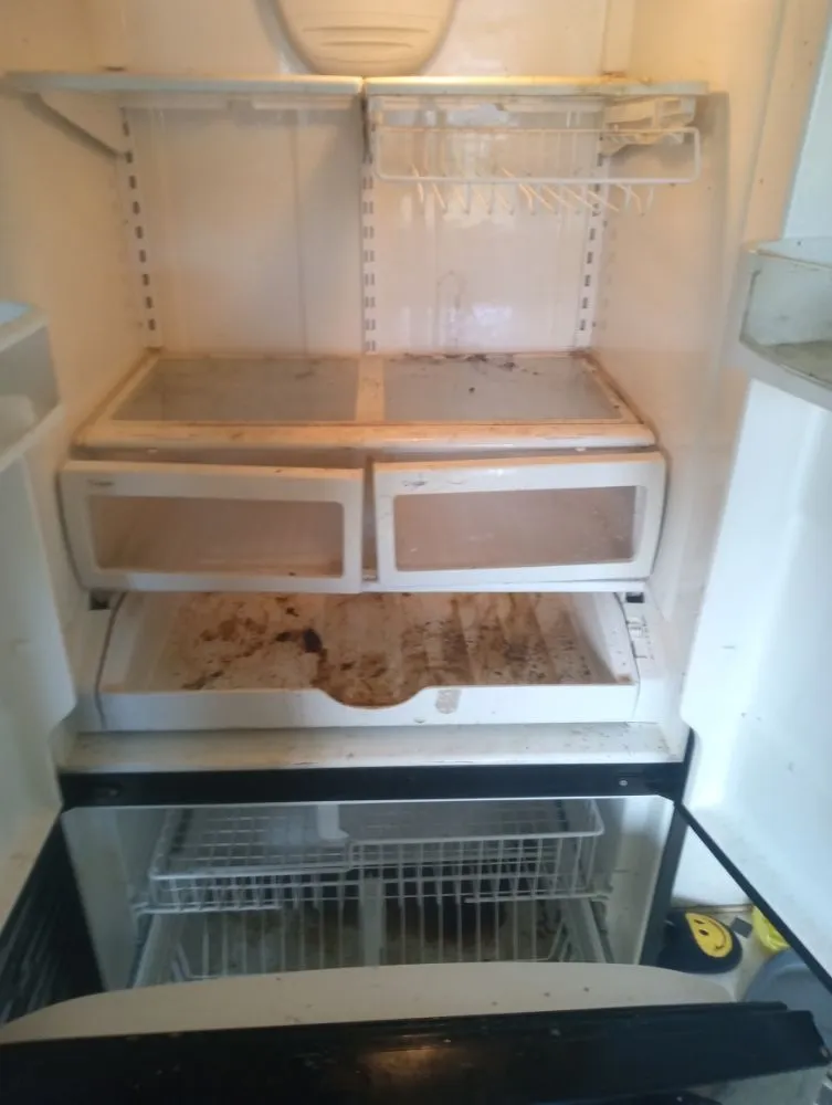 Trusted yard maintenance in Seymour, IN - R2V B&E Services