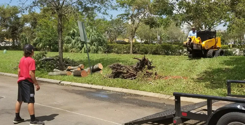 Reliable landscape installation in Davie, FL - R3-Rappold & Sons Lawn and Landscaping