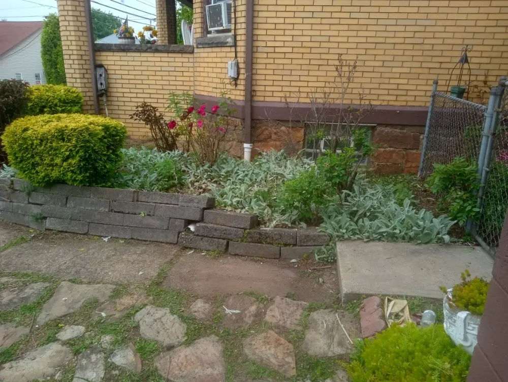 Top-rated yard maintenance experts serving Everson, PA - R3Dz Lawn Garden & Landscape