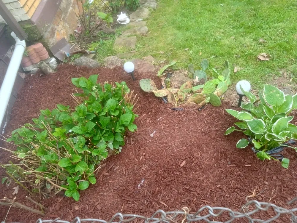 Trusted lawn mowing service near you across Everson, PA - R3Dz Lawn Garden & Landscape