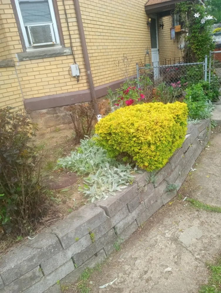 Professional yard maintenance for outdoor upgrades across Everson, PA - R3Dz Lawn Garden & Landscape