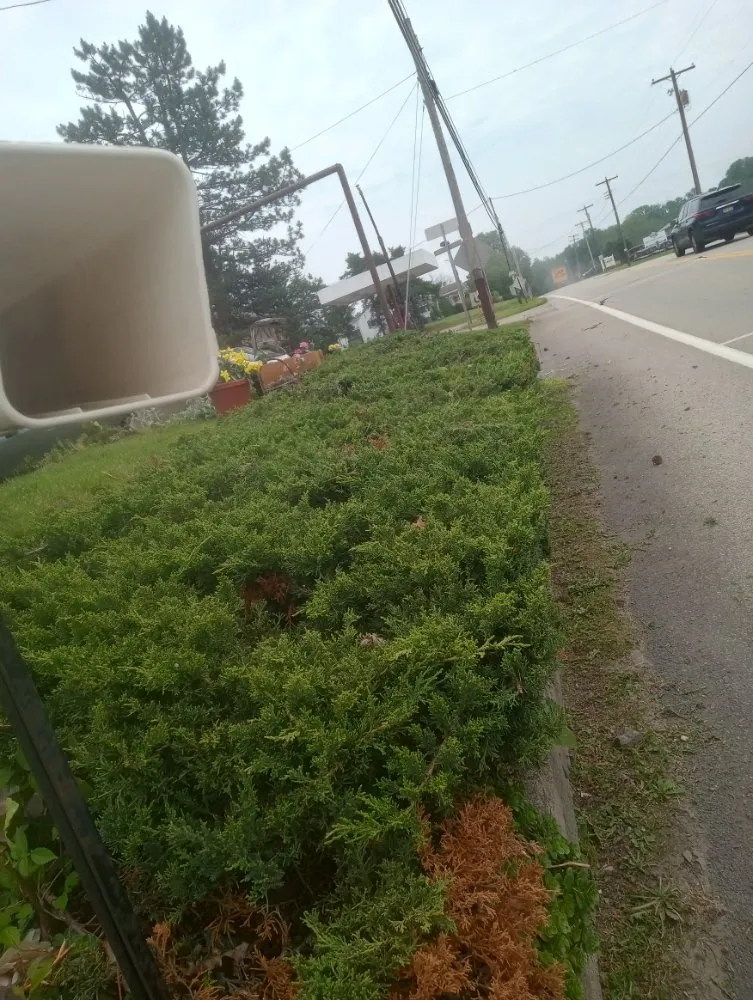 Custom outdoor landscaping experts serving Everson, PA - R3Dz Lawn Garden & Landscape