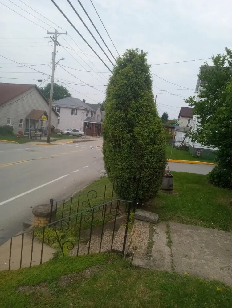 Local residential landscaping for year-round maintenance in Everson, PA by R3Dz Lawn Garden & Landscape