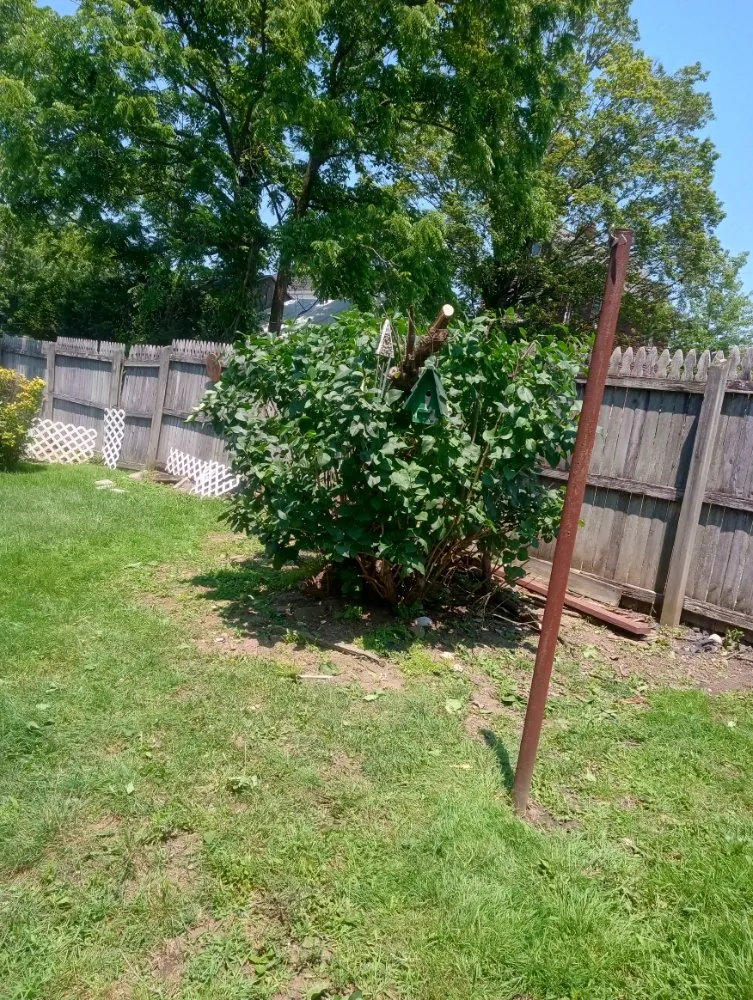 Affordable residential landscaping in Everson, PA by R3Dz Lawn Garden & Landscape