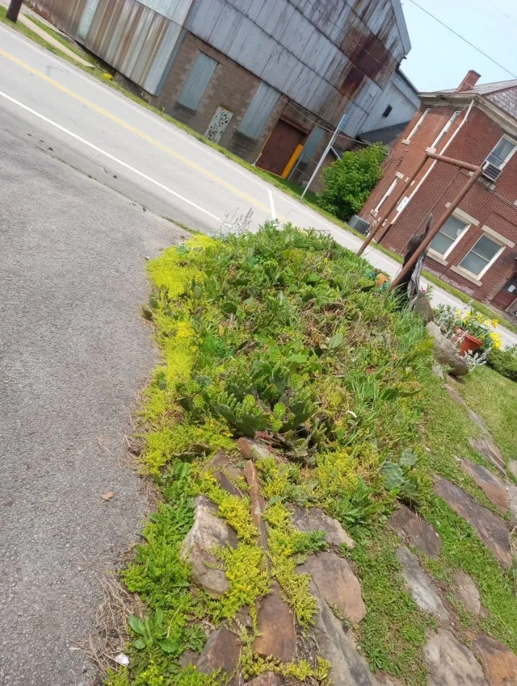 Reliable landscape installation near you across Everson, PA - R3Dz Lawn Garden & Landscape