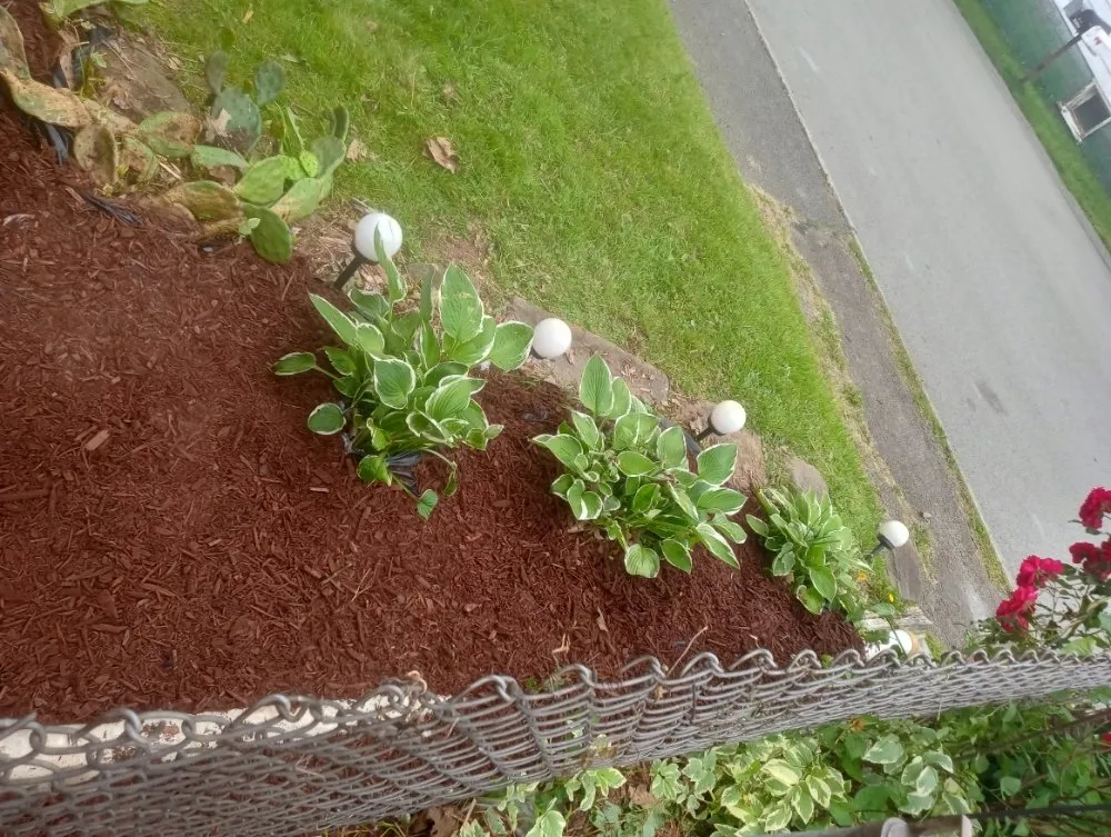 Affordable yard maintenance for residential properties in Everson, PA by R3Dz Lawn Garden & Landscape
