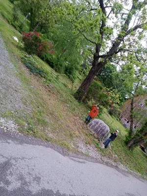 R3Dz Lawn Garden & Landscape