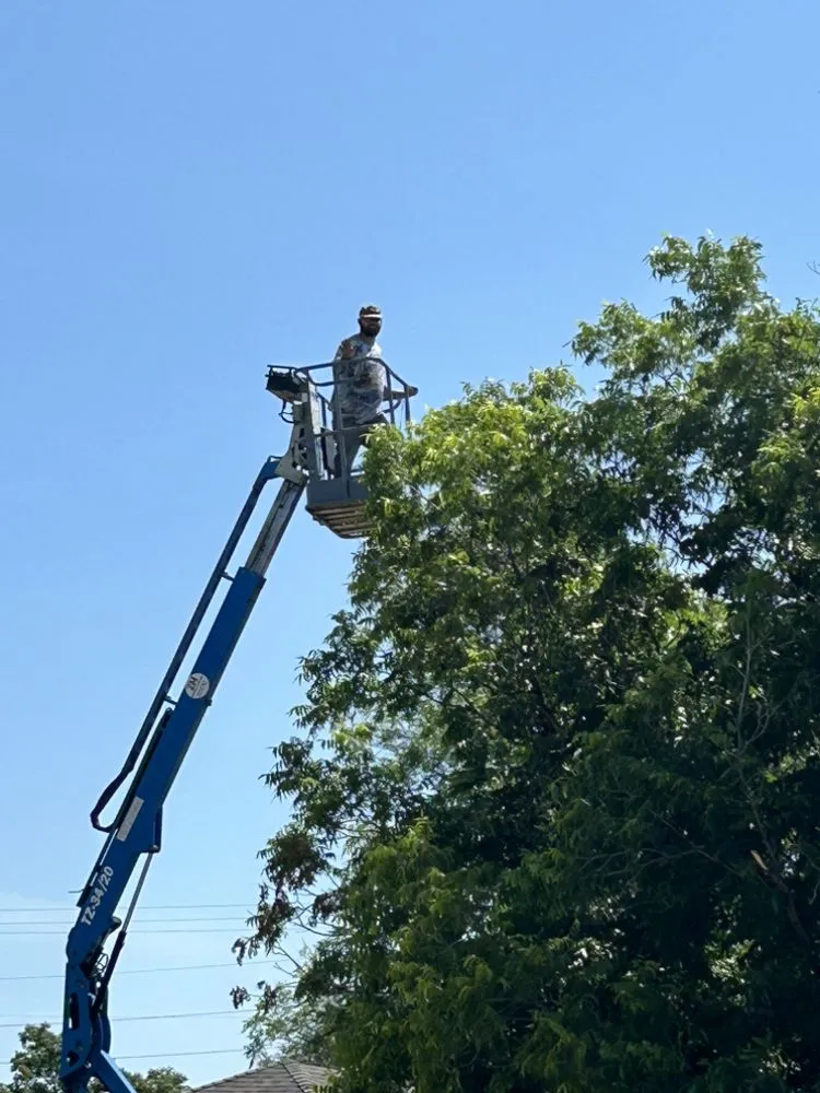 Expert residential landscaping in Albany, TX - R6 Outdoor Services