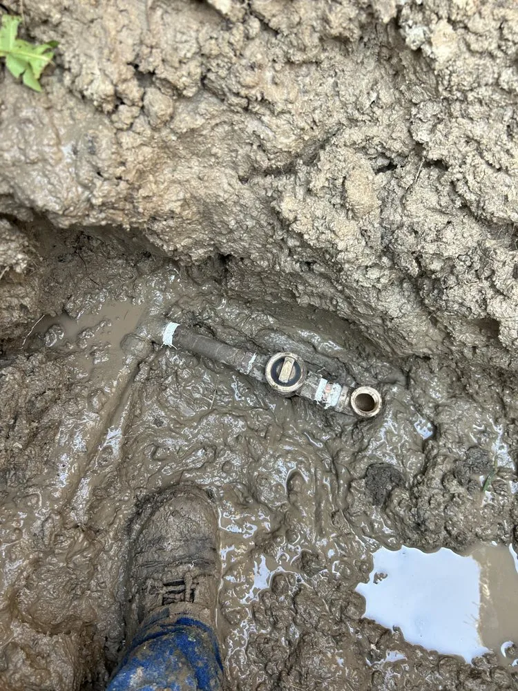 Expert yard cleanup service for year-round maintenance in West Valley City, UT by R7sprinklers and landscaping