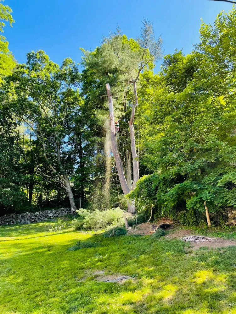 Top-rated outdoor landscaping in Mount Kisco, NY by RA Green Landscaping