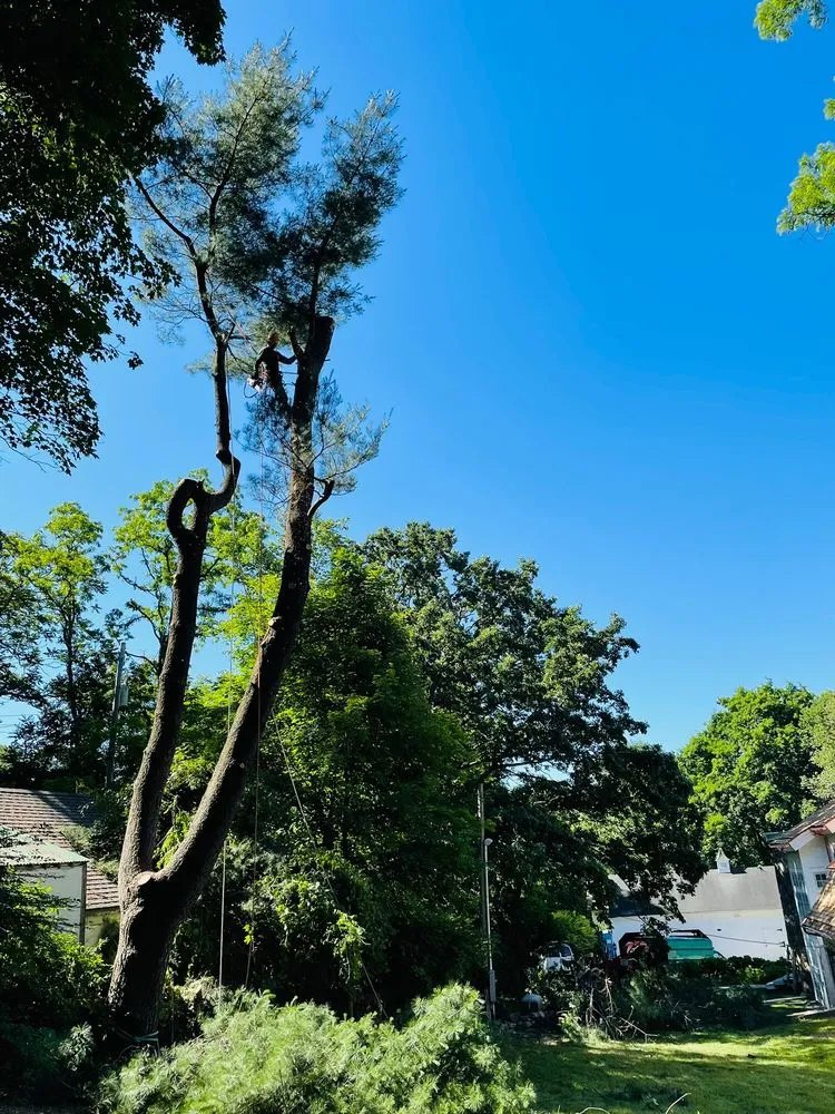 Local landscape installation in Mount Kisco, NY by RA Green Landscaping