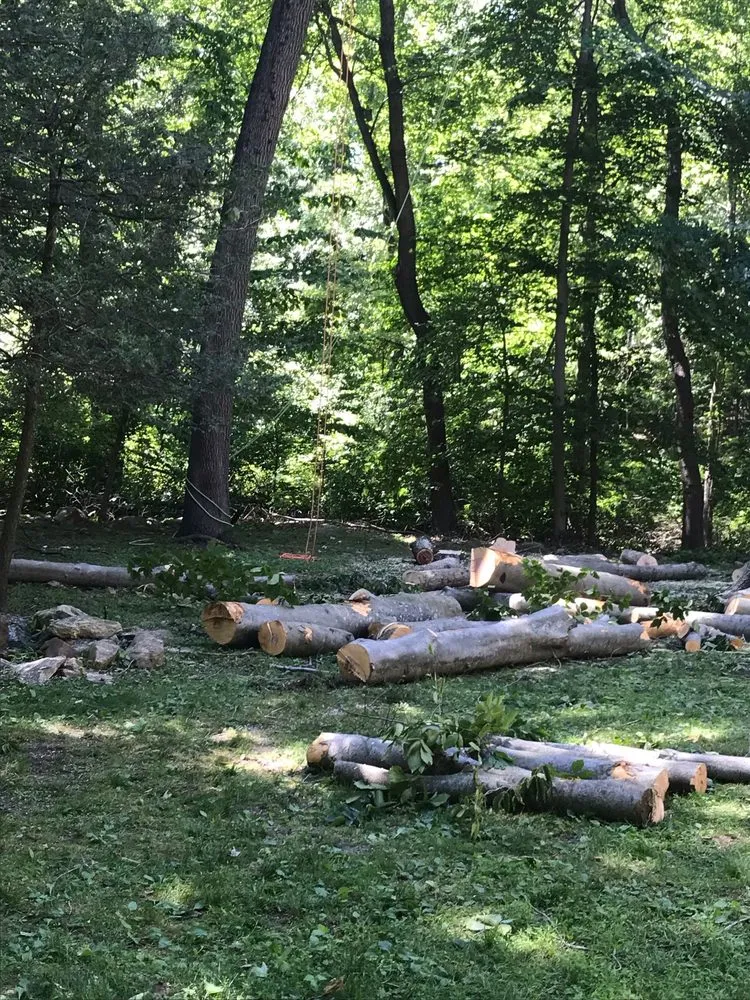 Affordable landscaping services for outdoor upgrades in Mount Kisco, NY by RA Green Landscaping