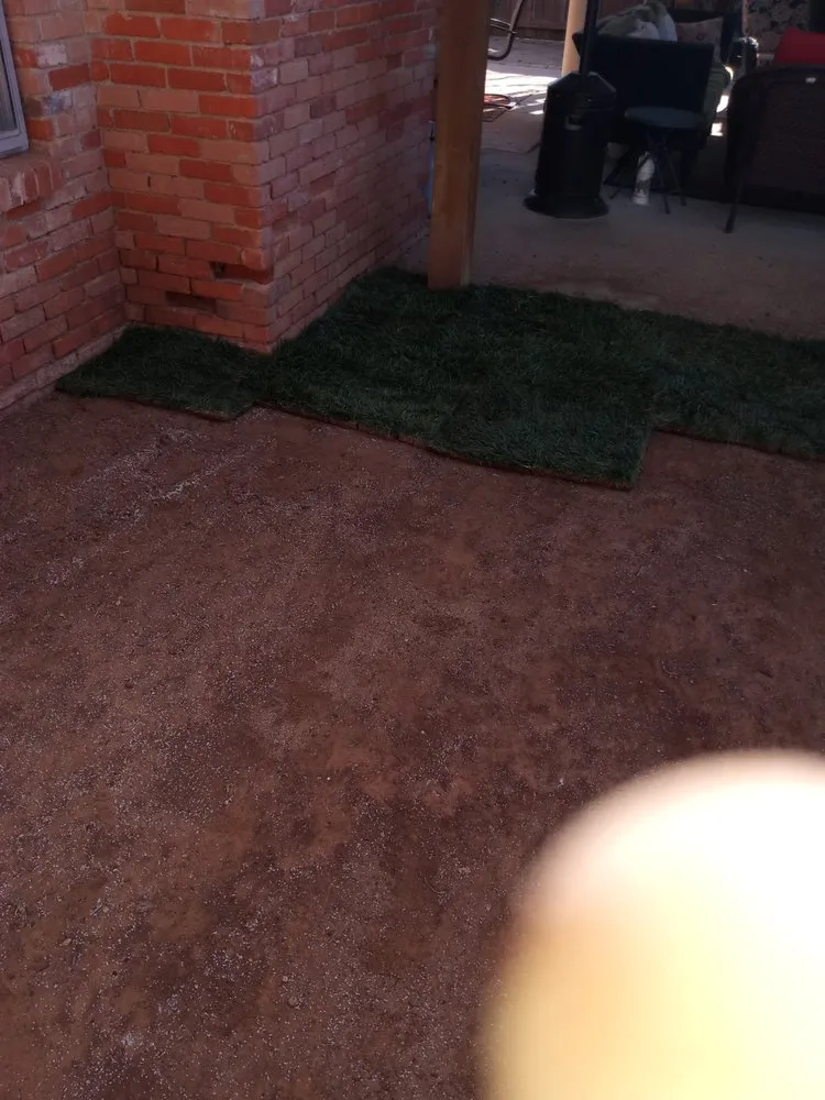 Professional lawn care service in Lubbock, TX - R&A Handyman & Lawn Care Services