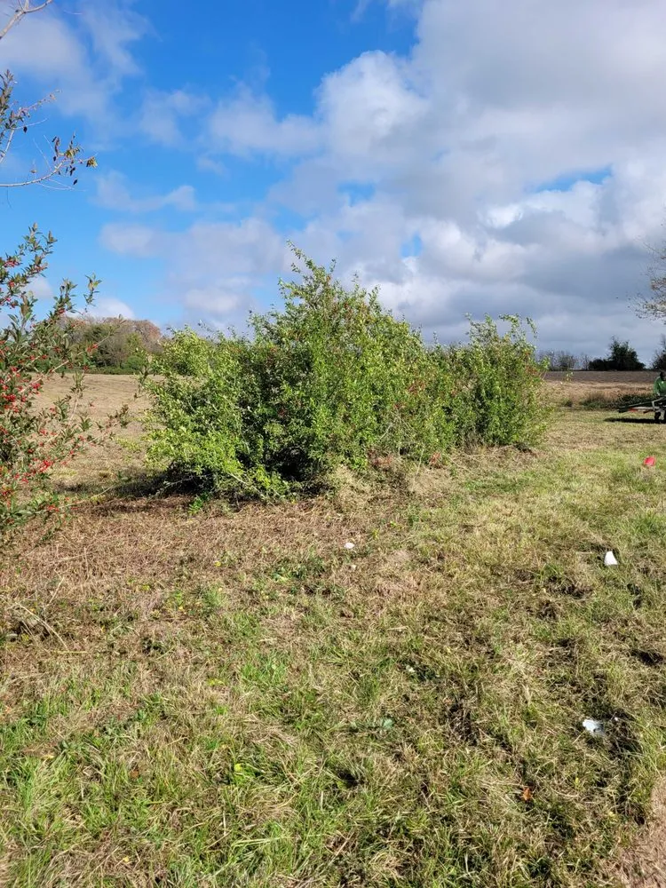 Top-rated landscaping services experts serving Navasota, TX - RA Land Services