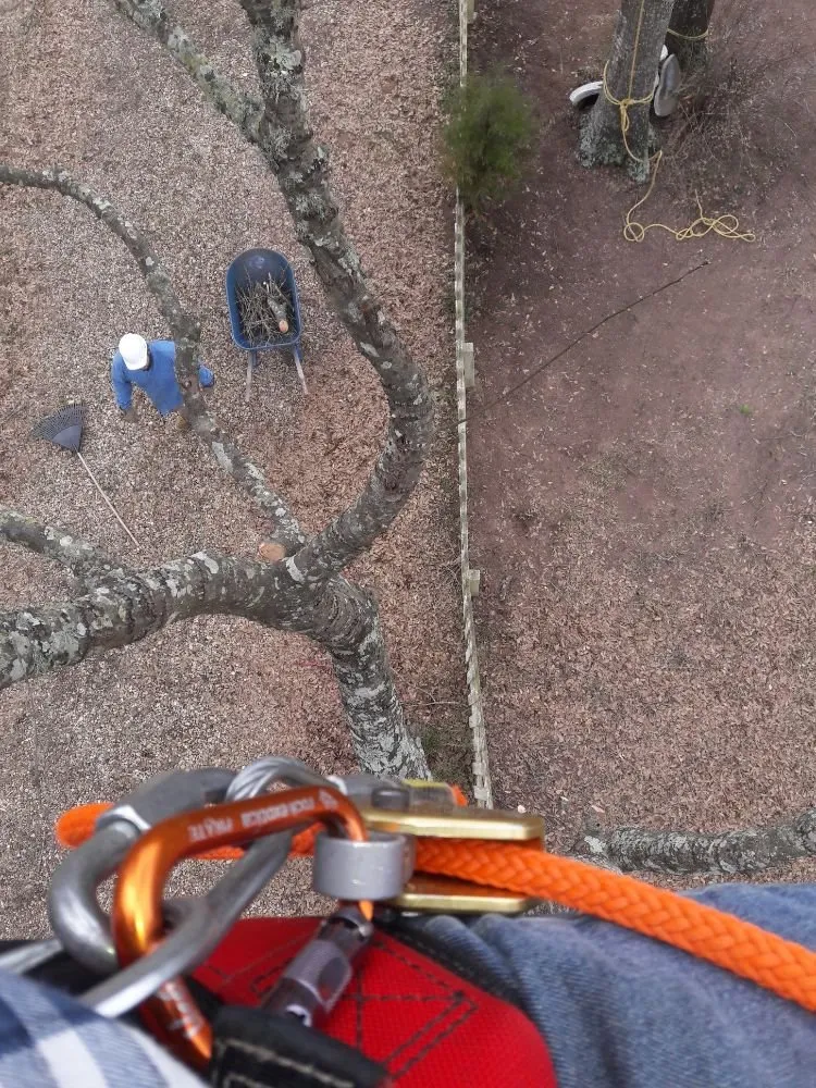 Professional lawn mowing service with custom design in Navasota, TX by RA Land Services