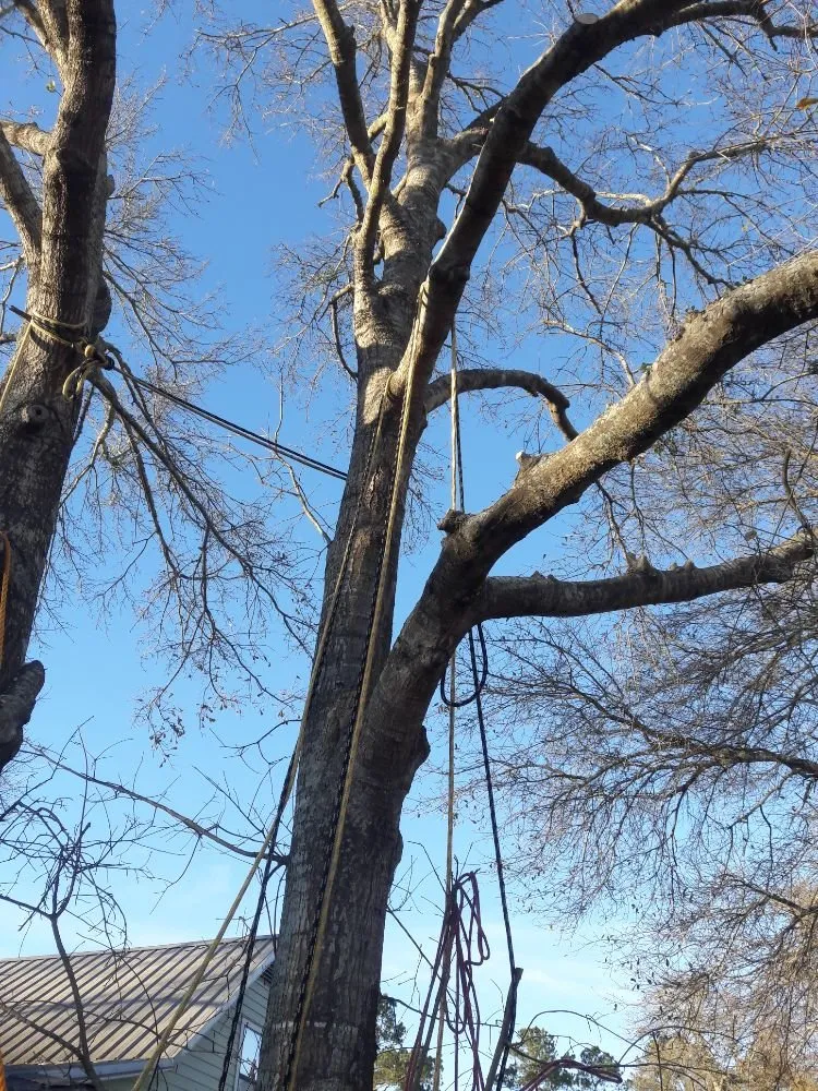 Trusted landscape design in Navasota, TX by RA Land Services