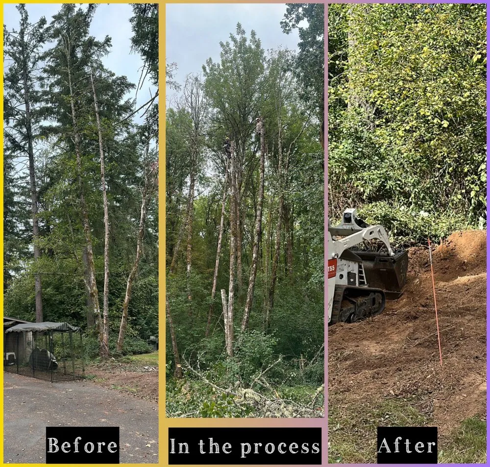 Expert landscape installation for year-round maintenance in Vancouver, WA by R&A Landscape & Tree Service