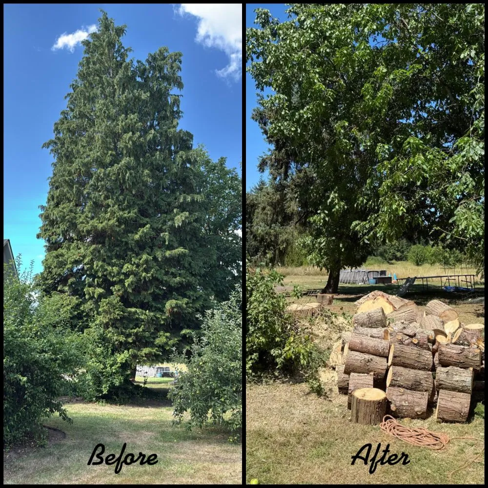 Custom outdoor landscaping for outdoor upgrades in Vancouver, WA by R&A Landscape & Tree Service