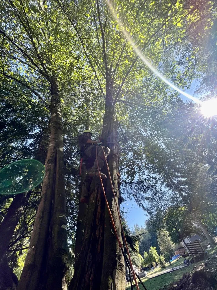 Custom yard cleanup service experts serving Vancouver, WA - R&A Landscape & Tree Service