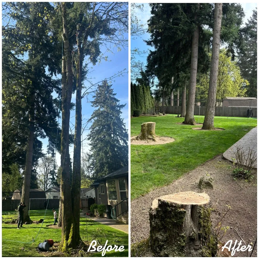 Expert residential landscaping in Vancouver, WA by R&A Landscape & Tree Service