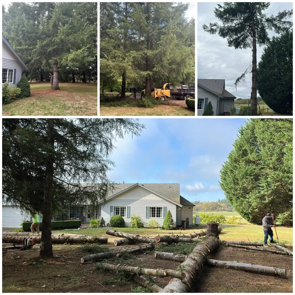 Professional outdoor landscaping for homes across Vancouver, WA - R&A Landscape & Tree Service