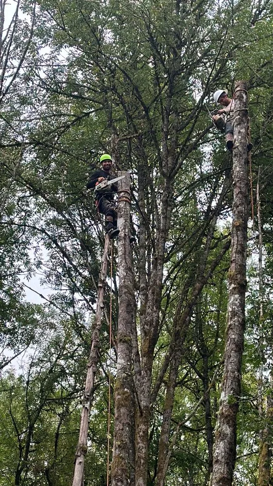 Reliable yard cleanup service experts serving Vancouver, WA - R&A Landscape & Tree Service