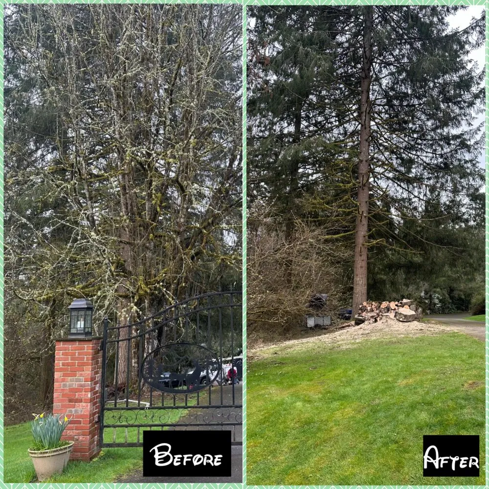 Expert lawn care service for outdoor upgrades in Vancouver, WA by R&A Landscape & Tree Service