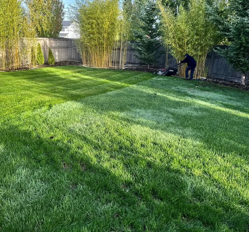 Top-rated landscape design with custom design across Vancouver, WA - R&A Landscape & Tree Service