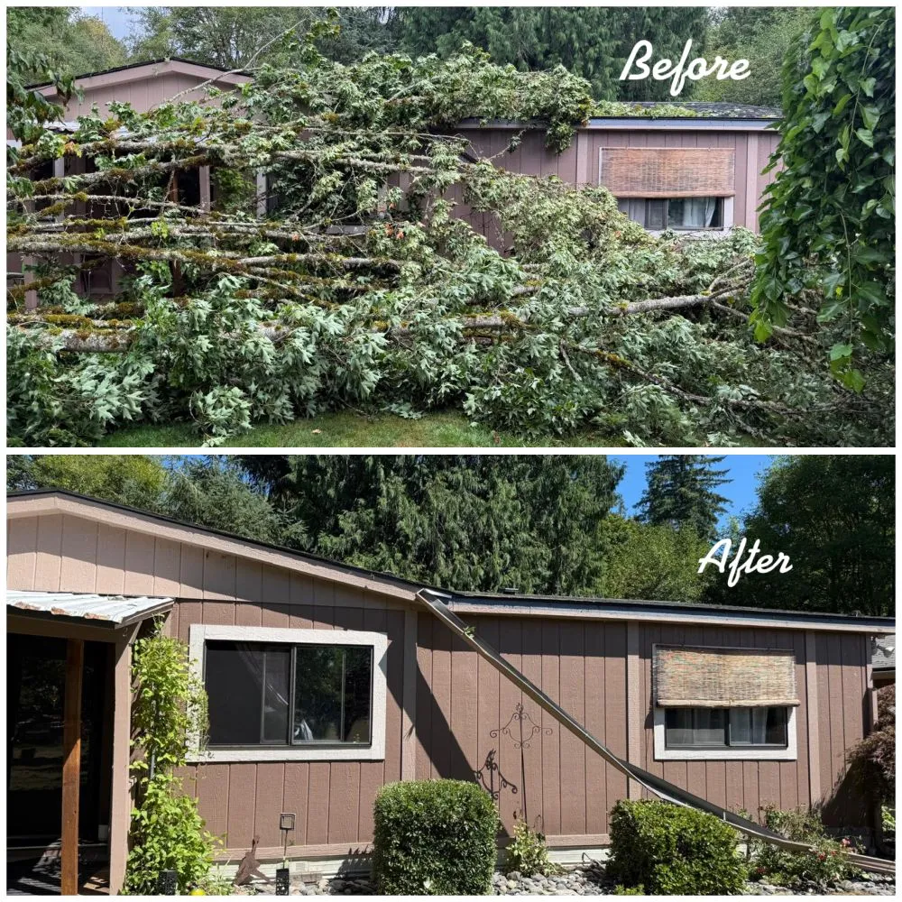 Trusted lawn mowing service in Vancouver, WA - R&A Landscape & Tree Service