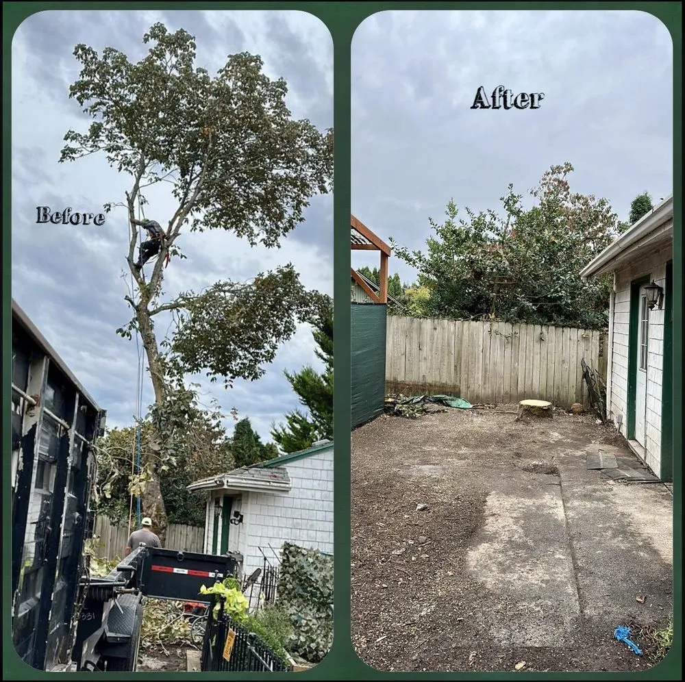 Trusted residential landscaping for year-round maintenance across Vancouver, WA - R&A Landscape & Tree Service