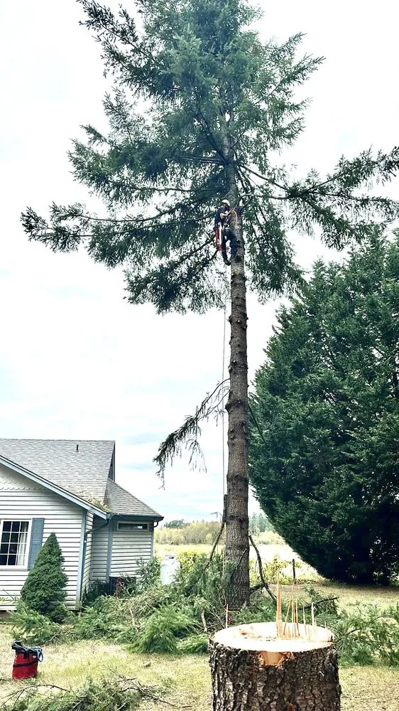 Custom lawn mowing service experts serving Vancouver, WA - R&A Landscape & Tree Service