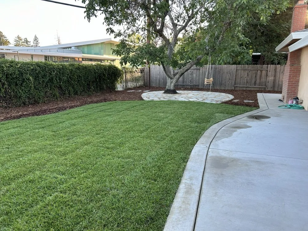 Local lawn care service for year-round maintenance in Woodland, CA by R&A Landscape Design and Construction