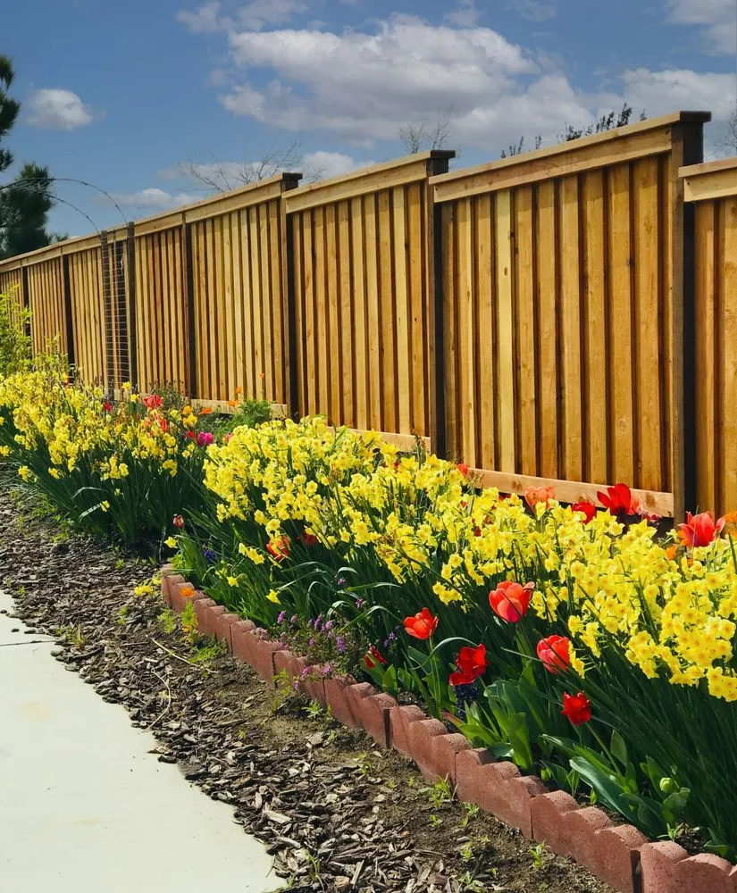 Local lawn care service experts serving Woodland, CA - R&A Landscape Design and Construction