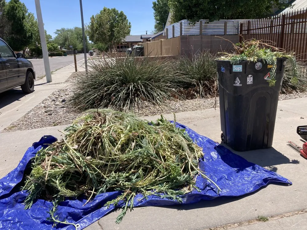 Local landscaping services experts serving Santa Fe, NM - RA Landscape