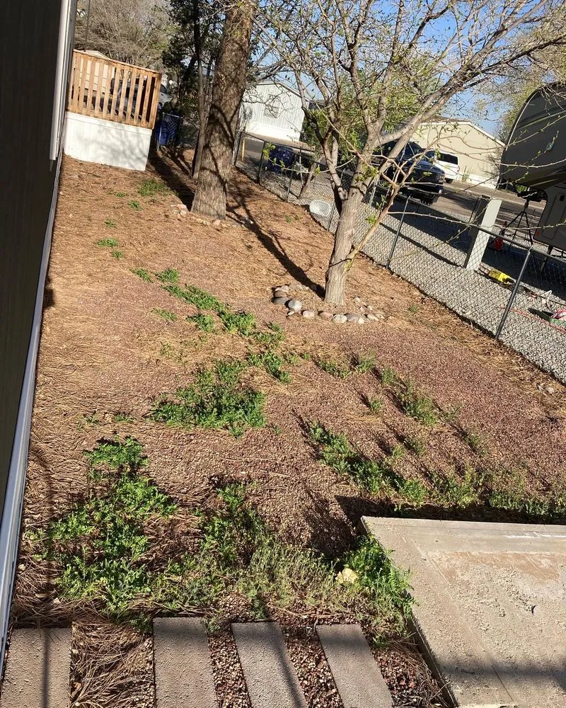 Expert garden landscaping for homes in Santa Fe, NM by RA Landscape