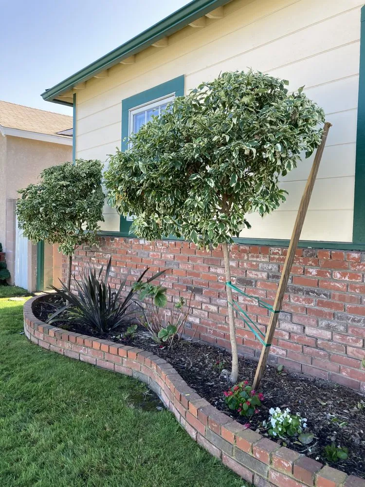 Professional lawn mowing service experts serving Santa Fe, NM - RA Landscape