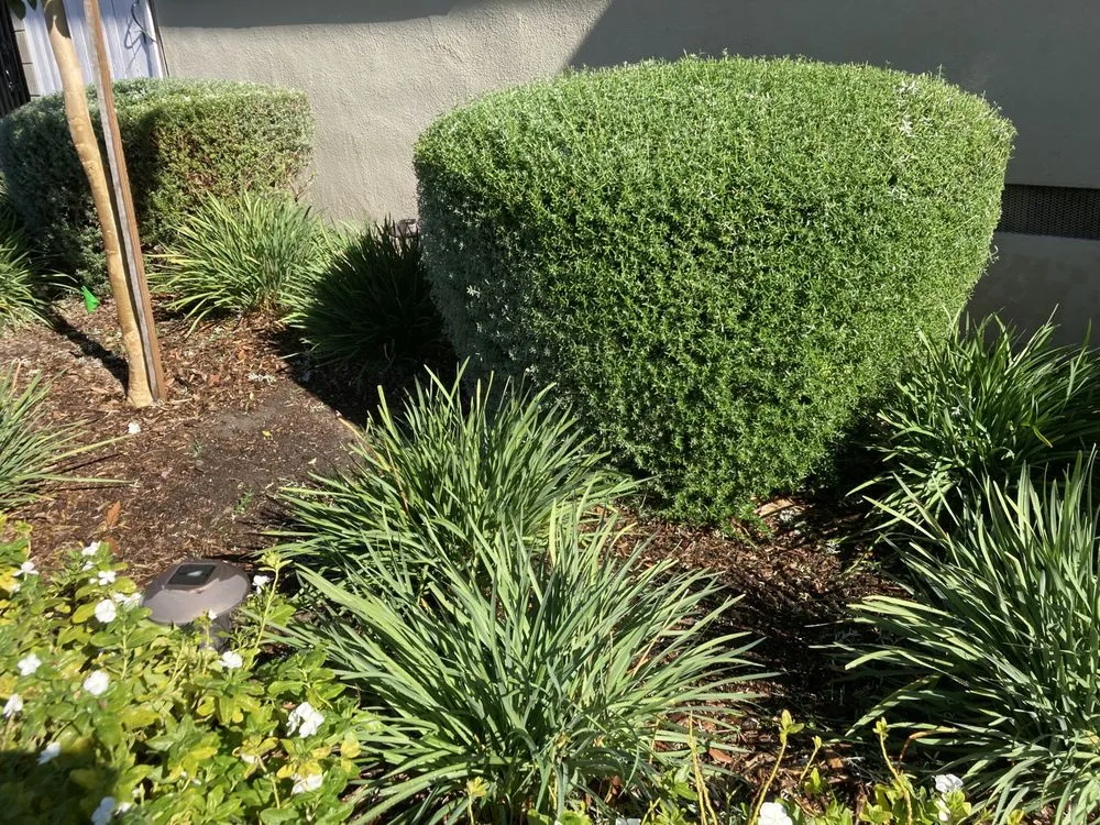 Local residential landscaping in Santa Fe, NM by RA Landscape