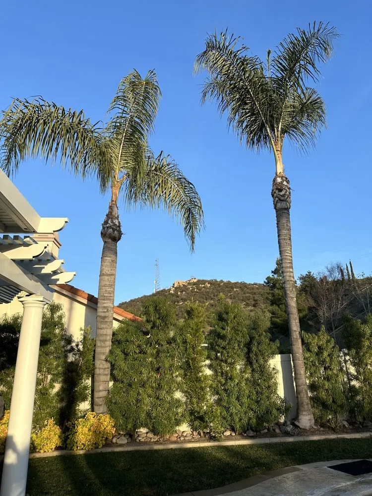 Custom lawn mowing service in Wildomar, CA by RA Landscape