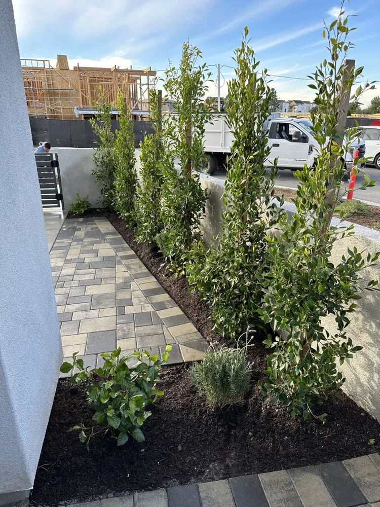 Trusted yard maintenance for residential properties in Wildomar, CA by RA Landscape