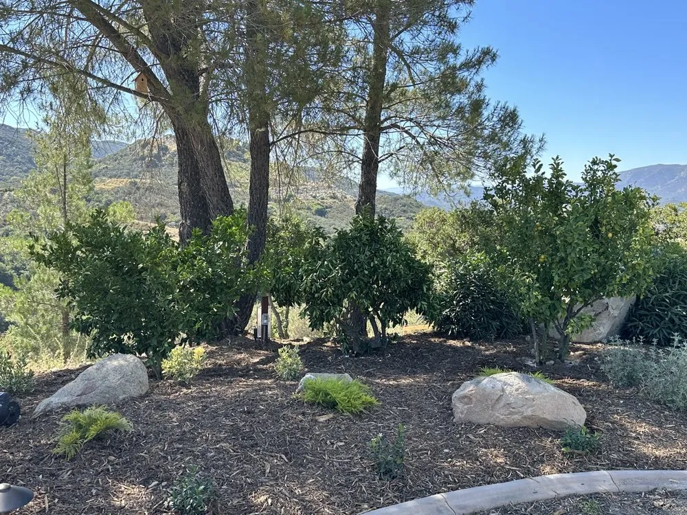 Professional garden landscaping in Wildomar, CA by RA Landscape
