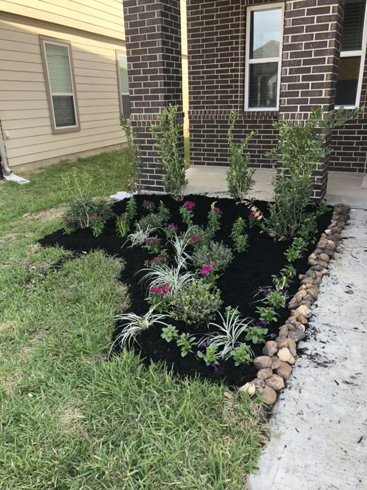 Affordable lawn care service for year-round maintenance in Katy, TX by RA Landscaping & sprinklers