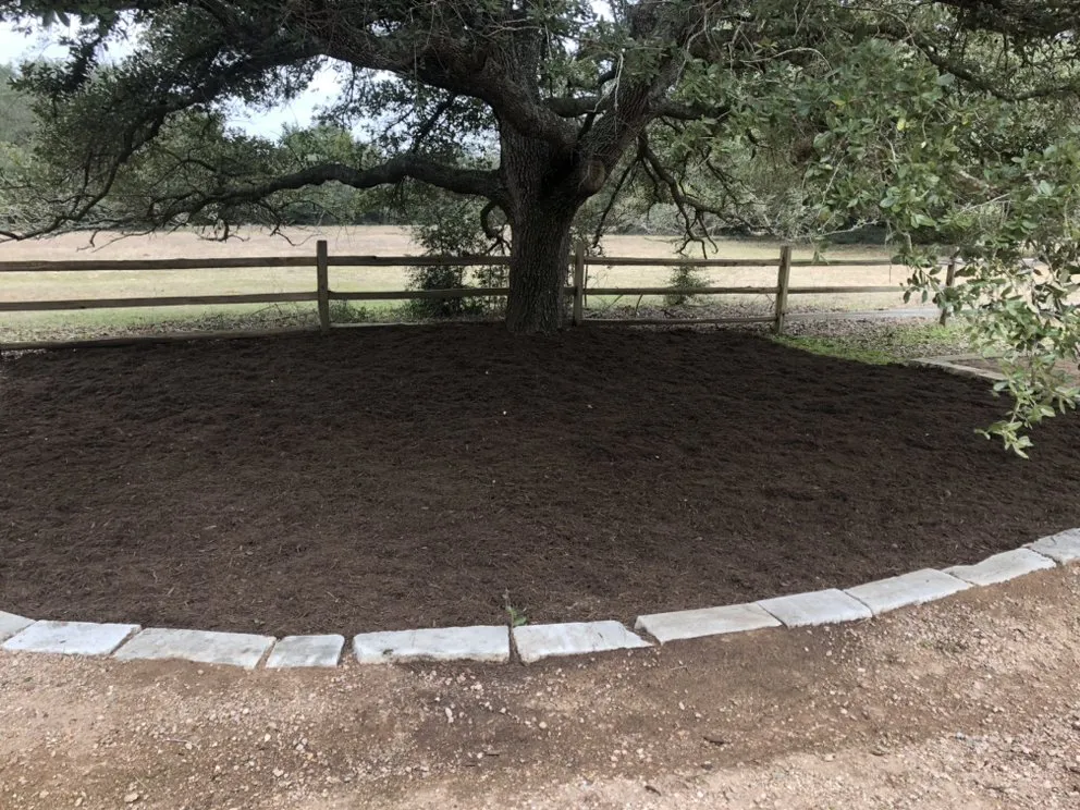 Professional yard maintenance in Katy, TX - RA Landscaping & sprinklers