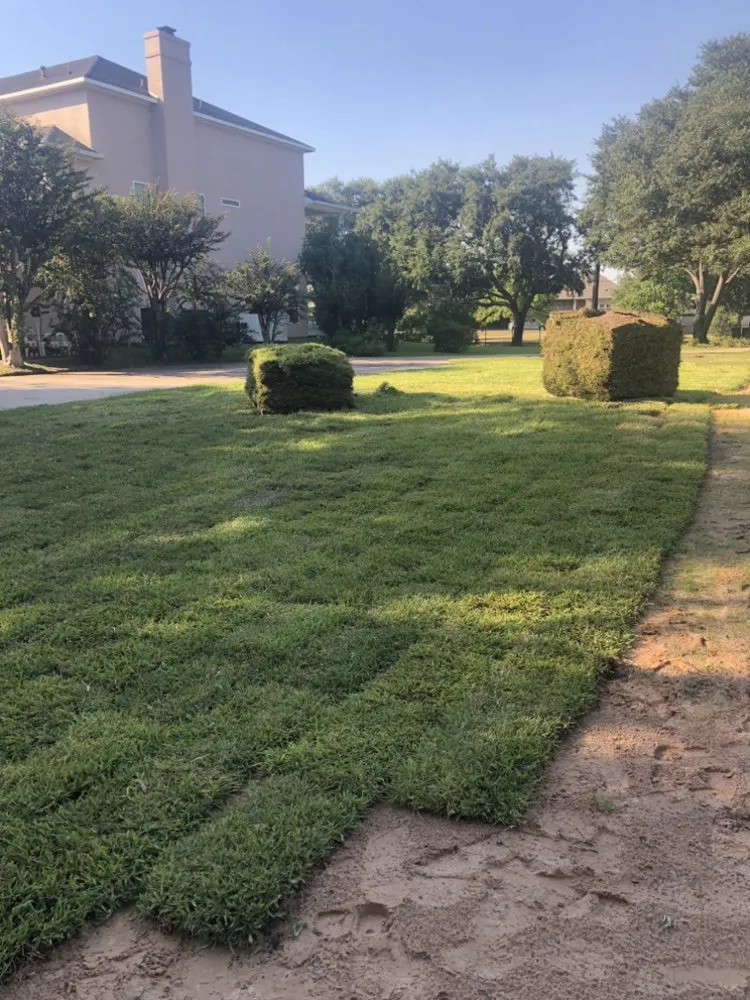 Expert lawn mowing service in Katy, TX by RA Landscaping & sprinklers