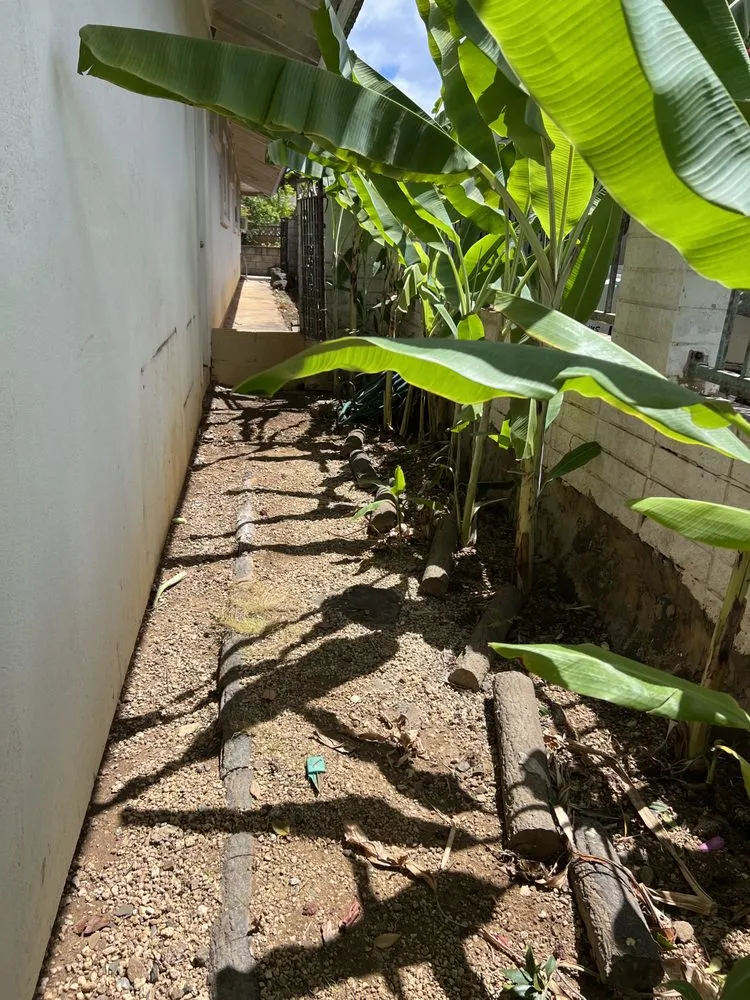 Reliable residential landscaping experts serving Urban Honolulu, HI - RA Landscaping & Yard Maintenance