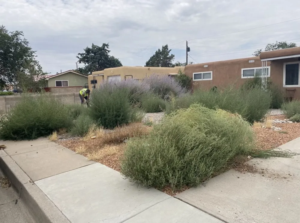 Professional outdoor landscaping near you in Albuquerque, NM by R&A Landscaping