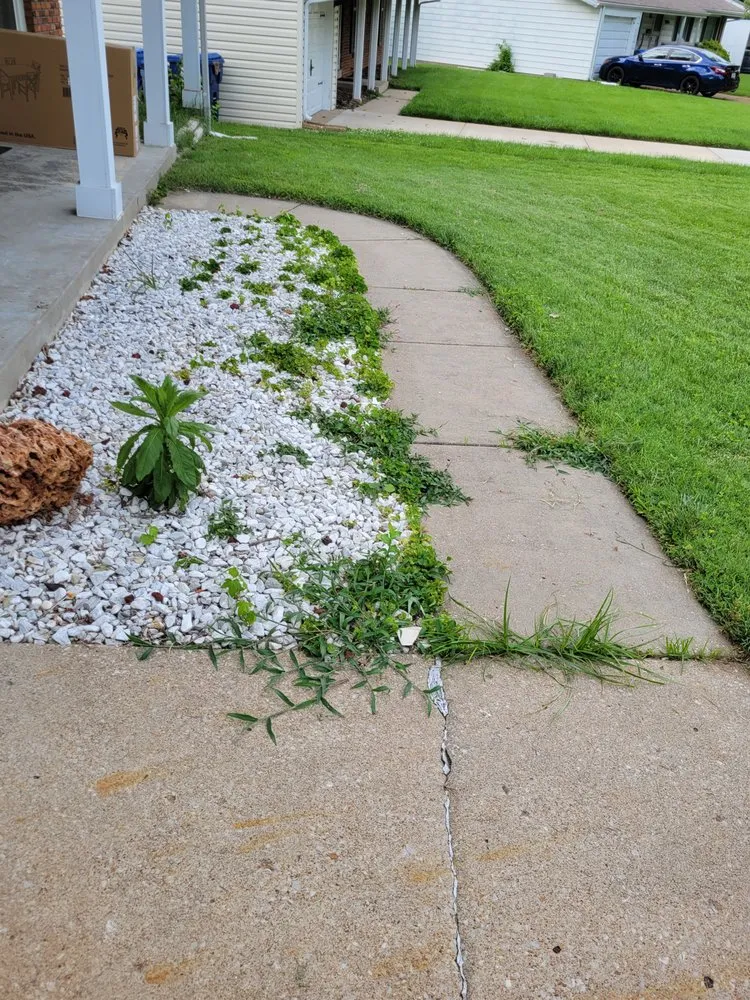 Reliable yard cleanup service experts serving St louis, MO - RA Landscaping