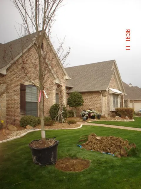 Trusted yard cleanup service in Watauga, TX - R&A Landscaping