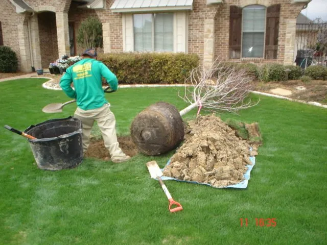 Trusted garden landscaping in Watauga, TX - R&A Landscaping