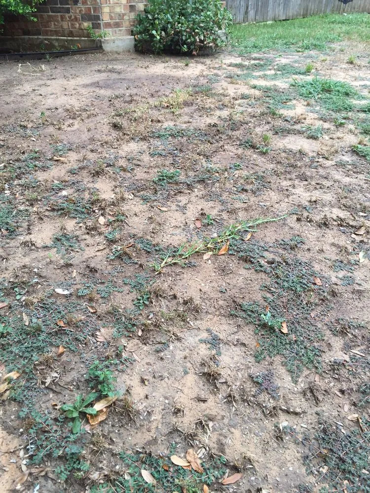 Reliable landscaping services experts serving Watauga, TX - R&A Landscaping